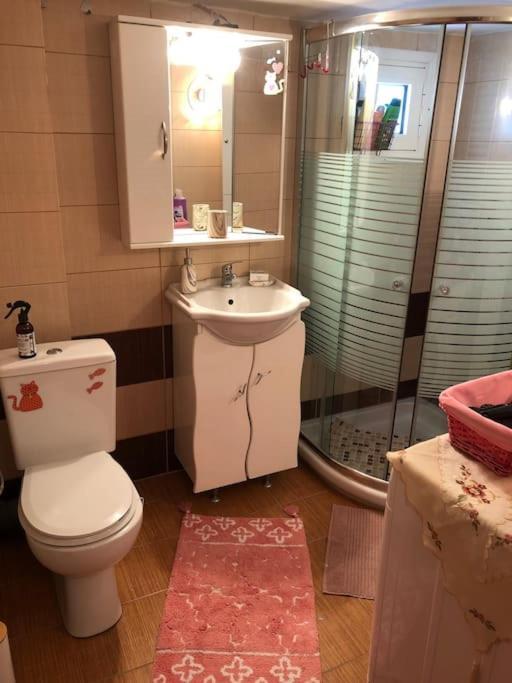 Effrosynis Appartment テッサロニキ エクステリア 写真